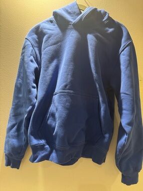 Aritzia Blue Pullover Hoodie